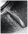 img_id5723557134672853529.png.jpg