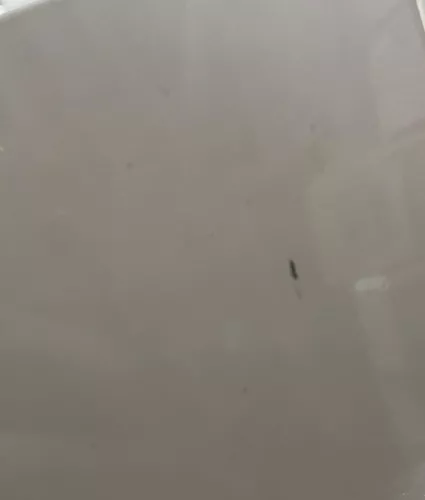 jgvbfxkgx.jpg jgvbfxkgx.jpg