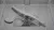 Bosch-SMV4EVX11E_photo_9.jpg