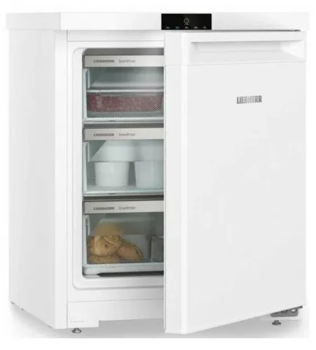 Морозильная камера Liebherr Fe 1003-20 001.jpg