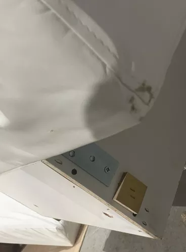 bgfgdnhgxhn.jpg bgfgdnhgxhn.jpg