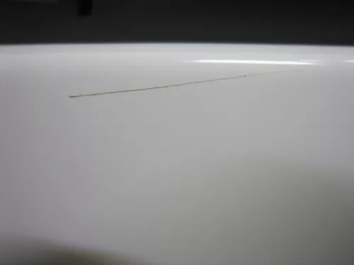 IMG_8541.JPG IMG_8541.JPG