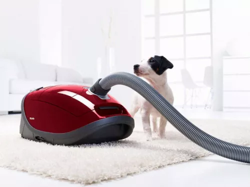 pylesos_miele_sgef5_complete_c3_powerline_cat_dog_tayperry_red_foto_open_1.jpg