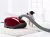 pylesos_miele_sgef5_complete_c3_powerline_cat_dog_tayperry_red_foto_open_1.jpg