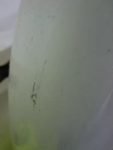 IMG_8761.JPG IMG_8761.JPG