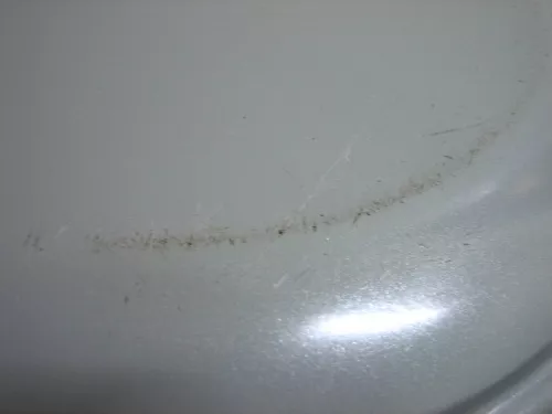 IMG_7703.JPG IMG_7703.JPG